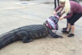 فیلم/ تمساح بزرگی در مرکز تجاری تگزاس آمریکا