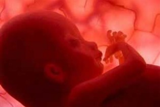 آخرین آمار سقط جنین تهرانی ها
