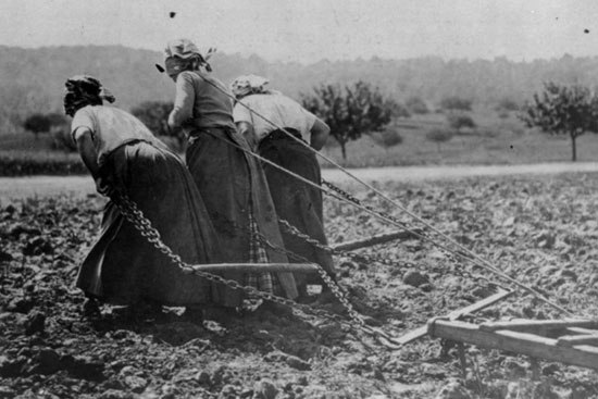 سه تن از زنان کشاورز در مزارع «سم» درشمال فرانسه