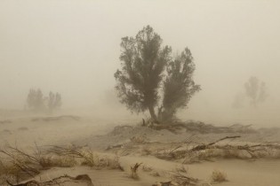 طوفان شن 7 روستا را با خاک یکسان کرد