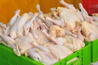 مرغ‌های بالای هزار و 800 گرم را نخورید!