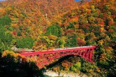 تصاویر/ پاییز زیبا در ژاپن
