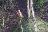تصاویر/ کشف یک قبیله بدوی در جنگل‌های آمازون
