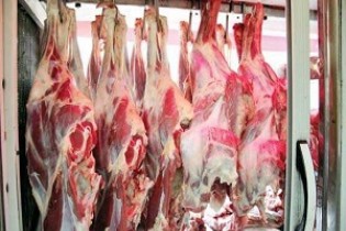 قیمت دام‌زنده بعد از گرانی گوشت چقدر است؟