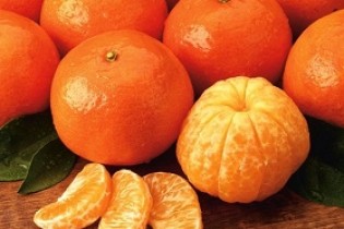 افزایش قیمت پرتقال جنوب در بازار چقدر است؟
