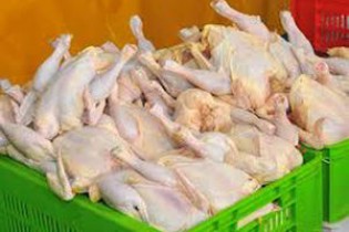 پَرکشیدن قیمت مرغ در تعطیلات