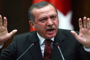 انتقاد به تلاش برای گسترش استبداد داخلی توسط اردوغان