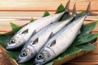 قیمت جدید انواع ماهی در بازار اعلام شد