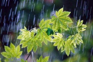بارش باران در ۱۰ استان کشور