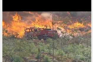 24 کشته در آتش سوزی جنگل ها