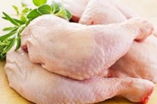 ایران می‌تواند همه مرغ مورد نیاز کشور قطر را تامین کند