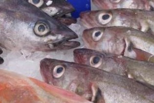 نوعی ماهی سرطان زا در تایلند مصرف می شود