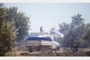 بیش از هزار هکتار از جنگلهای ترکیه در آتش سوخت