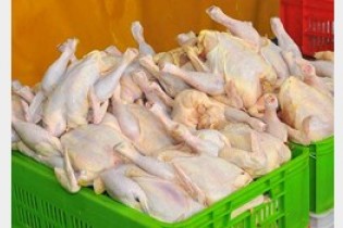 گرانی گوشت قیمت مرغ را بالا برد