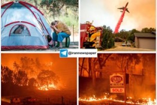 آتش سوزی مهیب جنگلهای کالیفرنیا هزاران بی خانمان برجای گذاشت