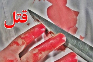 تشریح ماجرای کشته شدن وکیل زن در شیراز