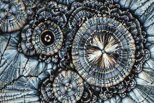 تصویری زیبا از ویتامین C در زیر میکروسکوپ