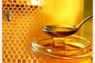 کشف محموله عسل های تقلبی زاهدان