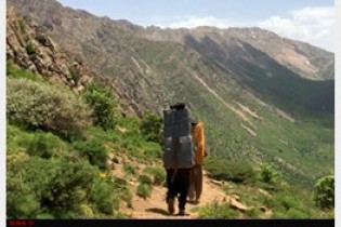 کشته و زخمی شدن مشکوک کولبران در مرز چالدران