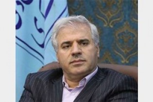 ثبت جهانی چوگان ایران و کمانچه آذرماه نهایی می‌شود