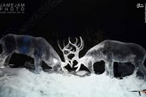تصاویر/ این مجسمه های یخی زیبا را ببینید
