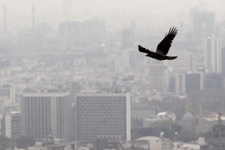 8 راهکار ساده برای مقابله با آلودگی هوا