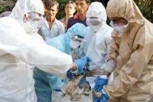ویروس آنفلوآنزای مشترک انسان و پرندگان به ایران رسید