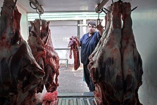 توزیع گوشت تازه گوسفندی ۳۳ هزار تومانی در تعطیلات نوروز
