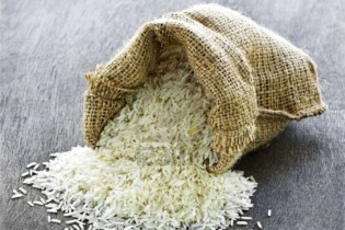 سهم ایران از صادرات برنج باسماتی هند ۲۸ درصد شد
