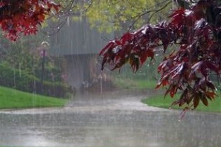 کاهش ۴۹ درصدی بارش نسبت به سال گذشته