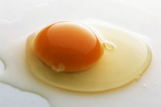 آیا خواص زرده تخم مرغ پررنگ تر بیشتر است ؟