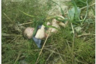 مرگ تدریجی نوزاد چند روزه در جنگل