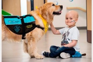 سگ تراپی برای درمان کودکان سرطانی +تصاویر