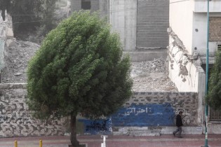 وزش باد شدید در تهران/هوای پایتخت سالم است