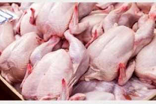 کاهش تقاضا مرغ را ارزان کرد