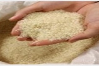 هیچ محدودیتی برای واردات برنج نداریم