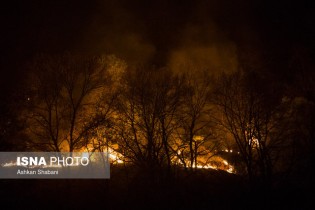 آتش در کمین جنگل‌های مازندران/تنش‌ محلی مهم‌ترین عامل آتش‌سوزی عمدی