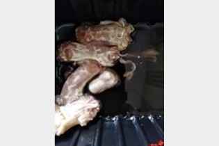 انگشت انسان در بسته مرغ پیدا شد + تصاویر