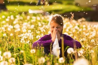 آلرژی‌های فصل تابستان را بشناسیم
