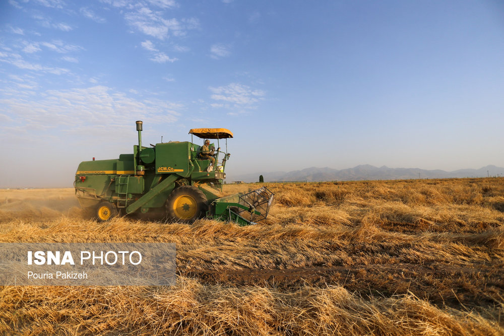 عمده محصول گندم در ایران که بالغ بر ۸۰ درصد سطح زیر کشت را شامل می‌شود، توسط ماشین کمباین برداشت می‌شود.