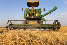 عمده محصول گندم در ایران که بالغ بر ۸۰ درصد سطح زیر کشت را شامل می‌شود، توسط ماشین کمباین برداشت می‌شود.