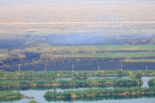 آتش سوزی هورالعظیم ادارات ۳ شهرستان را به تعطیلی کشاند