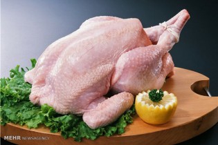 افزایش مجدد نرخ مرغ در بازار/ خیز قیمت به سوی ۱۰ هزارتومان