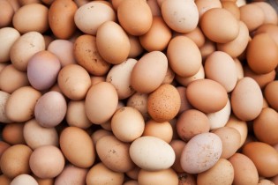 کسری تخم مرغ از طریق واردات تامین می شود/مردم مرغ درشت مصرف نکنند
