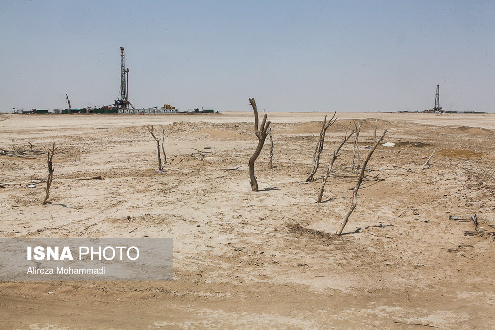 به گفته اهالی روستای مسلمیه، 14 حلقه چاه نفت در این روستا در حال فعالیت هستند.