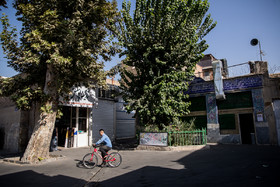 نمایی از ورودی تکیه رضا قلی خان که فقط درختان چنار آن در گذر «رضا قلی خان» باقی مانده است.