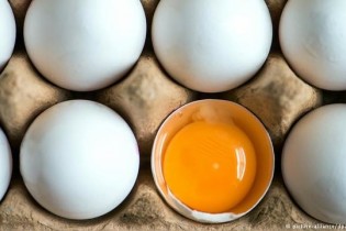 در روز چند تخم مرغ بخوریم؟