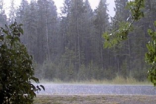 افزایش سه درصدی میانگین بارش/آغاز پرباران پاییز