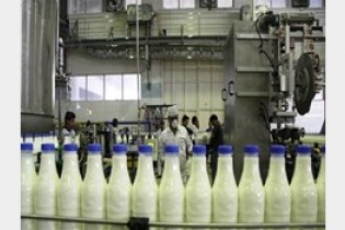 قیمت شیر 30 درصد افزایش می یابد