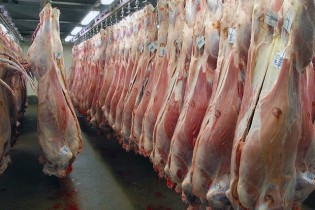 قیمت گوشت گوسفندی در آستانه ٧٠هزار تومان/کمبود دام در آستانه یلدا